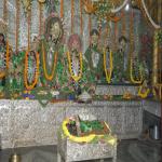 Vraj-Yatra-2014- (1430)